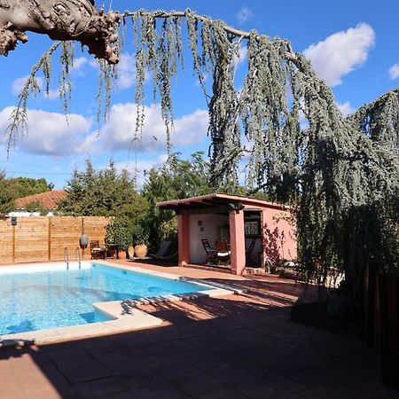Willa El Cedre Blau Vivienda Con Piscina En Granollers Zewnętrze zdjęcie